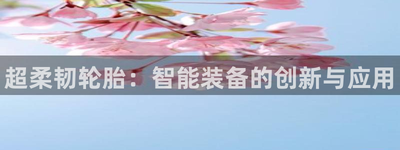 九游会网址在线玩