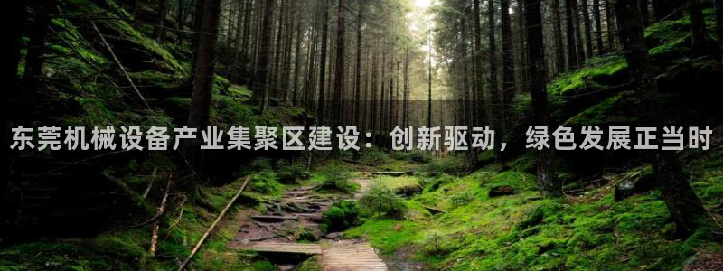 ag九游会集团