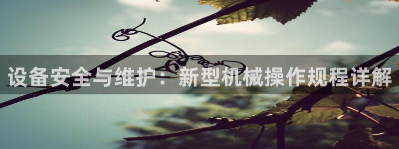 九游j9国际站