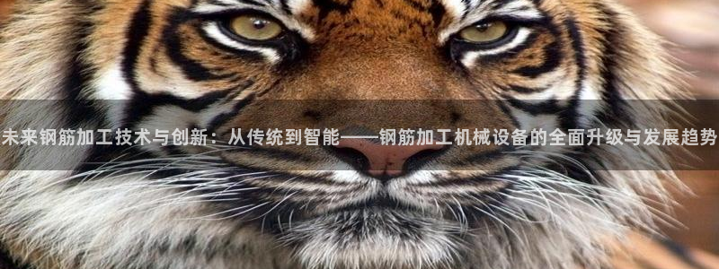 九游会官网j9
