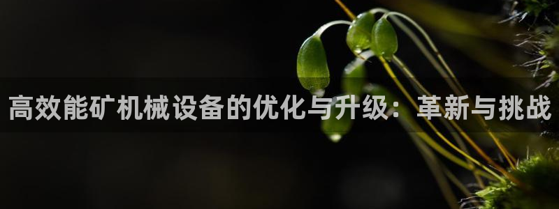 九游会官网网页版