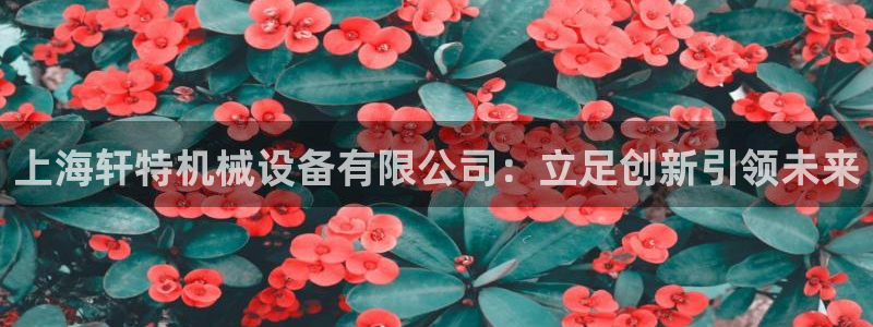九游会中国入口嘛