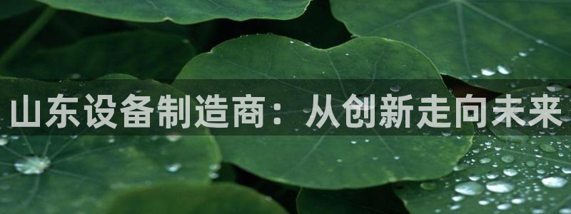 九游会网址九
