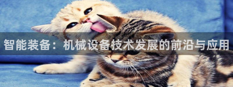 九游会游戏官网网页版